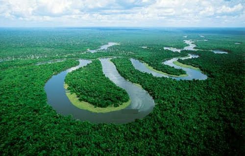 AMAZONIA PERUANA